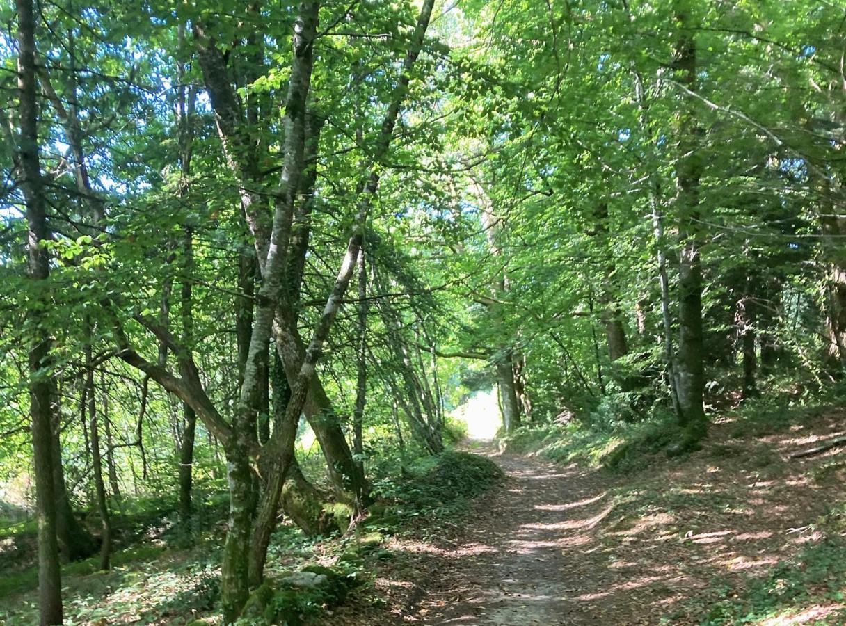 Aux Demeures Des Fees Villa Thouron Dış mekan fotoğraf